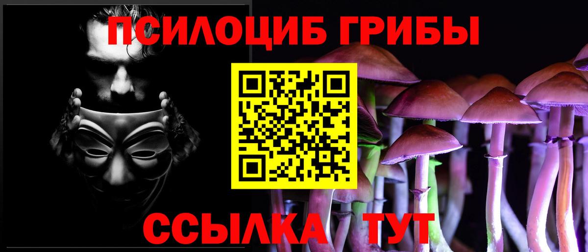 закладка  Вход с VPN  Аша  Галлюциногенные грибы Cubensis  Псилоцибиновые грибы Psilocybe 